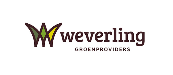 Weverling
